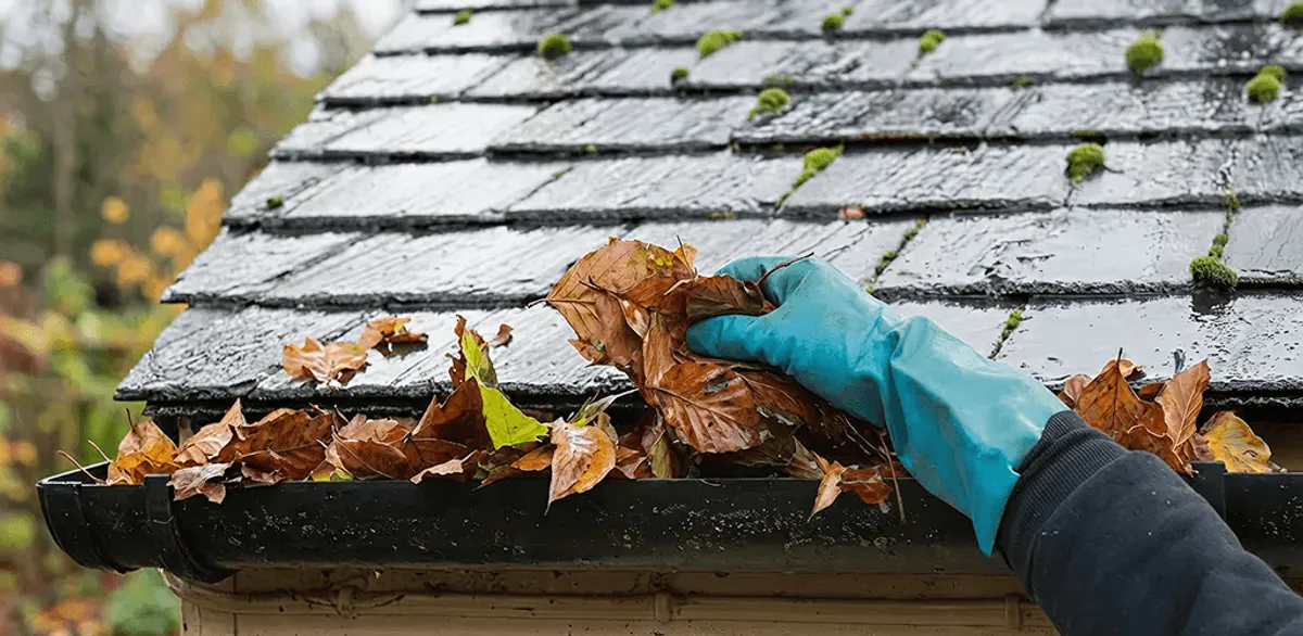Gutter cleaning technician clearing wet leaves from roof gutters in Honolulu, HI